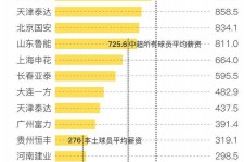 阿坝关于伴游小丽中国足球的信息