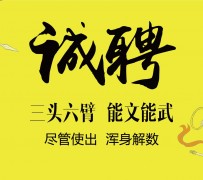 阿坝私人伴游招聘 一线二线城市招聘大圈中圈小圈女孩商务模特佳丽女模名媛招聘高薪一单一结