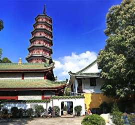 阿坝广州自由行(广州 自由行)