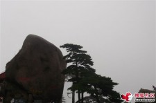 阿坝上海伴游私家陪游雇用女模(上海伴游私家陪游雇用女模特)