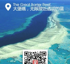 阿坝中国250家旅行社结伴游新西兰(新西兰当地旅行社)