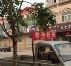 阿坝上海伴游 用伴游造句大全(5