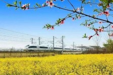 阿坝高铁游(高铁游戏下载手机版)