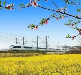 阿坝高铁游(高铁游戏下载手机版)