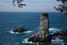 阿坝旅游全攻略(上海旅游全攻略)