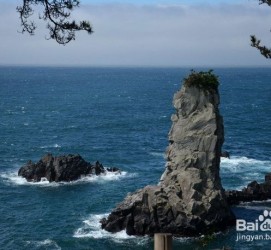 阿坝旅游全攻略(上海旅游全攻略)