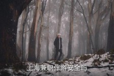阿坝上海私人伴游 上海伴游，上海兼职伴游安全吗
