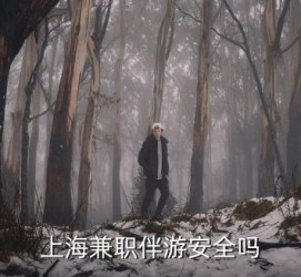 阿坝上海私人伴游 上海伴游，上海兼职伴游安全吗