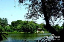 阿坝西湖旅游攻略(上海到杭州西湖旅游攻略)