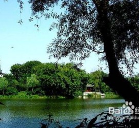 阿坝西湖旅游攻略(上海到杭州西湖旅游攻略)