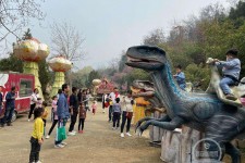 阿坝中国伴游带你打卡网红南山竹海(南山竹海网上预约)