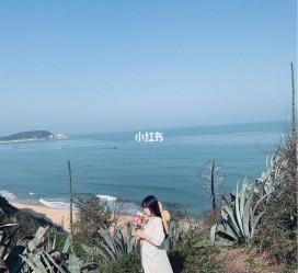 阿坝厦门周边游(厦门及周边旅游攻略)