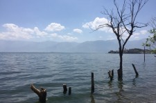 阿坝洱海旅游攻略(洱海旅游攻略自由行)