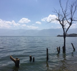 阿坝洱海旅游攻略(洱海旅游攻略自由行)