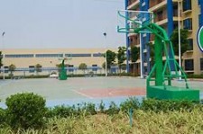 阿坝上海伴游雇用苗姐(上海哪里有雇用伴游)