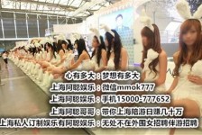 阿坝雇用旅游男伴游(北京商务酒店雇用伴游)