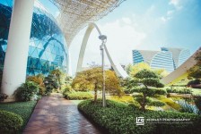 阿坝杭州外围伴游雇用(杭州外围雇用经纪人)