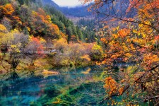 阿坝四川旅游攻略(四川旅游攻略十五日游)