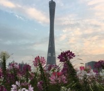 阿坝广州旅游攻略(杭州到广州旅游攻略)
