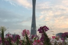 阿坝广州旅游攻略(杭州到广州旅游攻略)