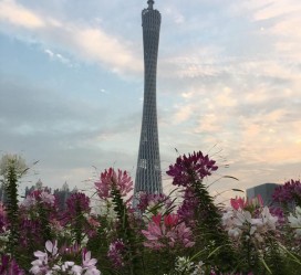 阿坝广州旅游攻略(杭州到广州旅游攻略)