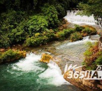 阿坝去哪里旅游好(七月八月去哪里旅游好)