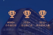 阿坝上海私人伴游 ​ “小而美”的新时代：2020年国内新跟团消费报告