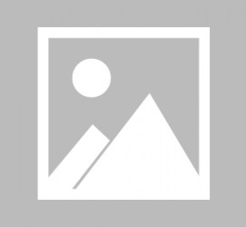 阿坝上海雇用伴游实在履历(网上那些伴游雇用是实的吗?)