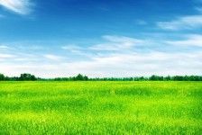阿坝上海伴游 上海模特伴游微信号的交友宣言