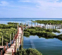阿坝旅游哪里好玩(云南旅游哪里好玩)