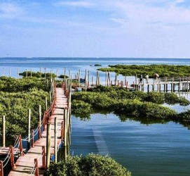 阿坝旅游哪里好玩(云南旅游哪里好玩)