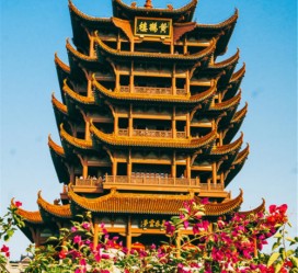 阿坝武汉游玩攻略(武汉游玩攻略路线)