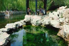 阿坝济南旅游攻略(青岛威海济南旅游攻略)