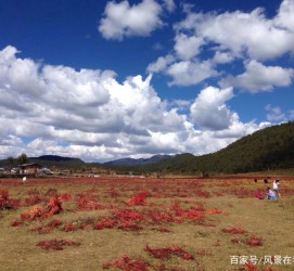 阿坝旅游去处(暑期最好的旅游去处)