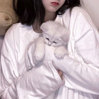 阿坝伴游女生蕾鮑的资料